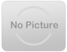 Dalmatians 101 18' Double Lane Dry Slide Dalmatians 101 18' Double Lane Dry Slide