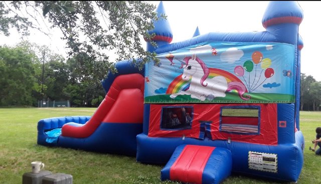 Unicorn Module 7' Double Lane Waterslide Bounce House Unicorn Module 7' Double Lane Waterslide Bounce House