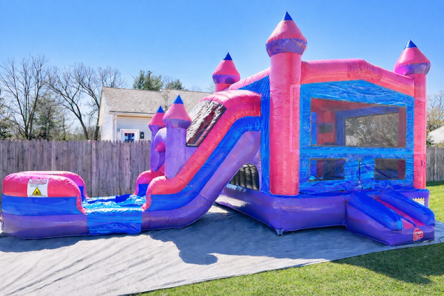 Princess Castlel Dual Lane Bounce House Combo (DRY) Princess Castlel Dual Lane Bounce House Combo (DRY)