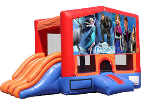 4-in-1 Combo with Double Slides - Frozen (Dry)