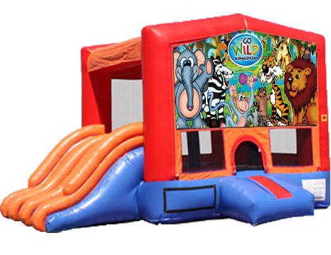 4-in-1 Combo with Double Slides - Wild Kingdom (Dry)