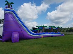 Tropical Tsunami - Purple Tropical Tsunami - Purple