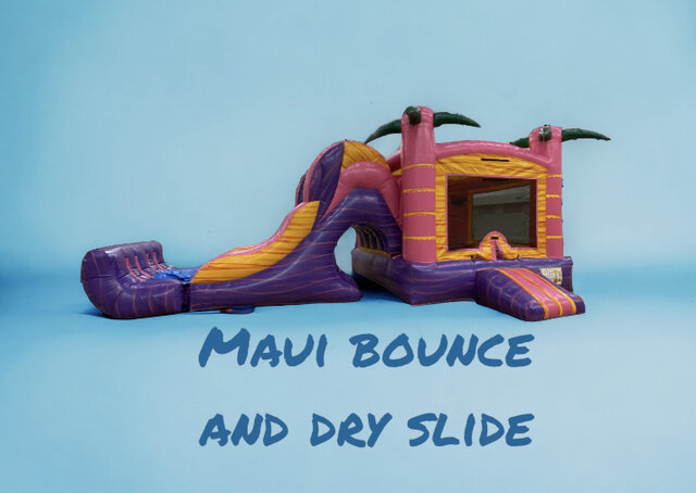 DS- Maui Bounce & Dry Slide
