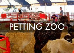 Petting Zoo Petting Zoo