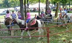 Pony Rides Pony Rides
