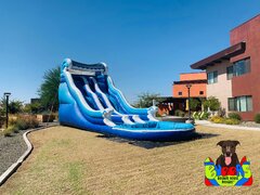 Waterslides/Slip N Slides Waterslides/Slip N Slides