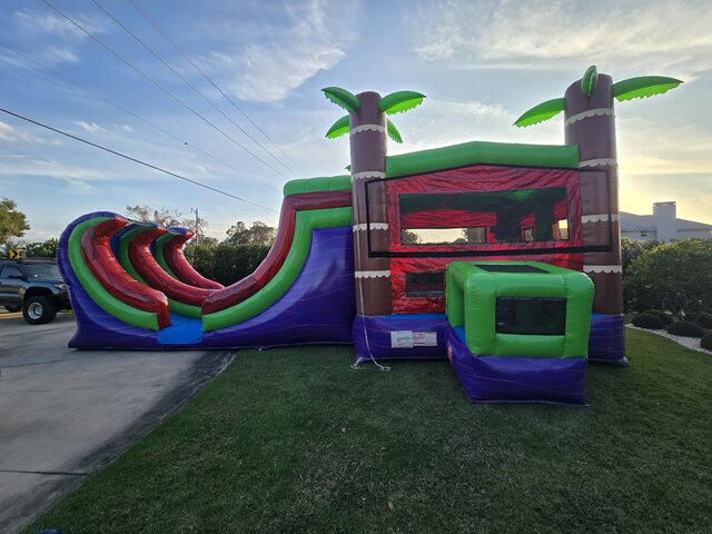 Rainforest Rumble Combo Rainforest Rumble Combo