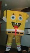 Sponge Bob Sponge Bob