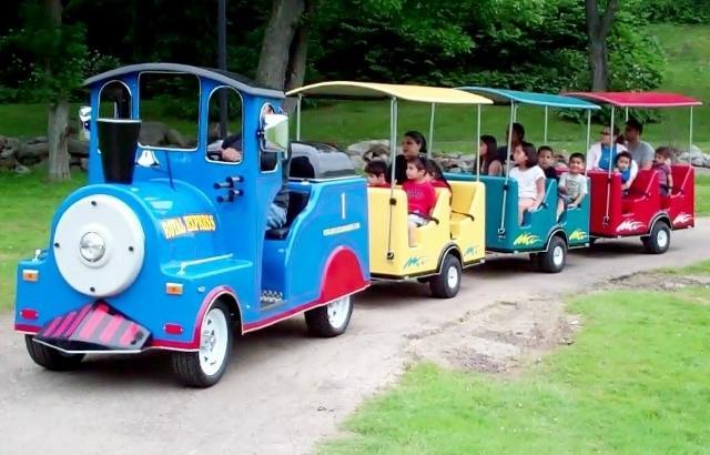 Electric Trackless Train Electric Trackless Train