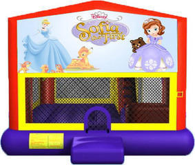 Sofia The First Wet 4-in-1 Combo