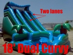 18 ft Dual Curvy (pool, dual lanes) 18 ft Dual Curvy (pool, dual lanes)