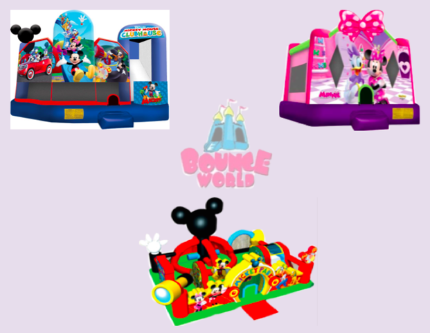 Mickey and Minnie Package Mickey and Minnie Package