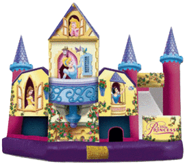 Disney Princess Combo Disney Princess Combo