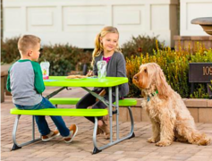 Kid's Lime Bench Table