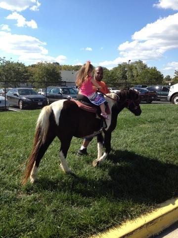 Pony Pony