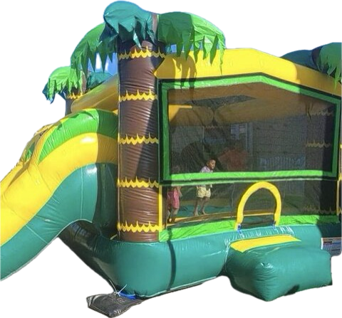 Tropical Combo Tropical Combo