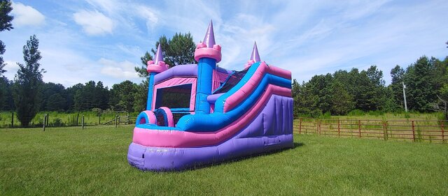 Funtastic Bounce  House with Water Slide Rental