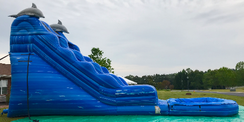 18 Dolphin Waterslide 18 Dolphin Waterslide