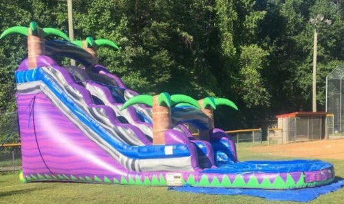 18' Purple Crush Waterslide 18' Purple Crush Waterslide