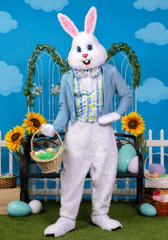 Easter Bunny Costume Easter Bunny Costume