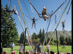 Bungee Trampoline (NEW!) Bungee Trampoline (NEW!)