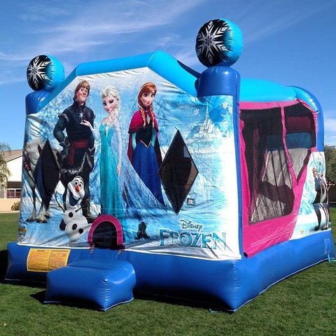 SC723 Frozen 4in1 Combo 16'x20' SC723 Frozen 4in1 Combo 16'x20'