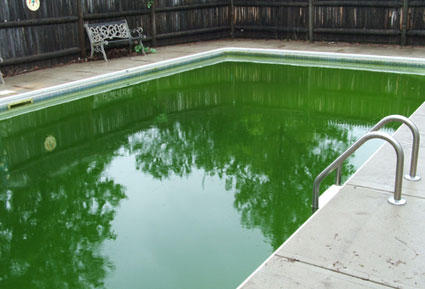 Folsom Green Pool Cleaning Service