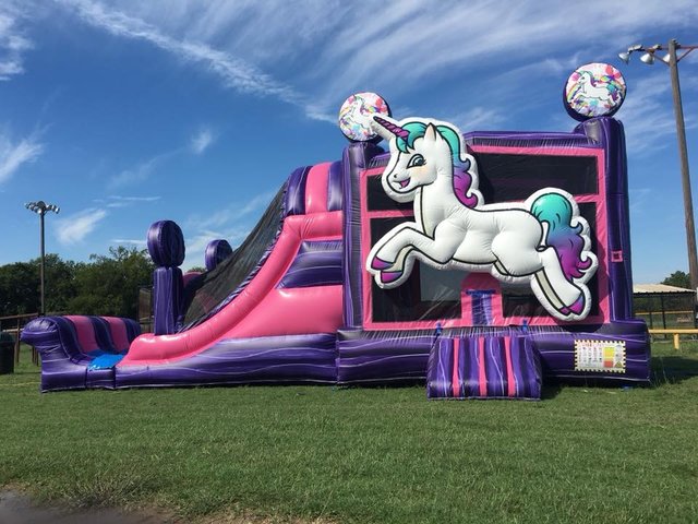 Wet Unicorn Combo with Dual Laned Slide and Pool Wet Unicorn Combo with Dual Laned Slide and Pool