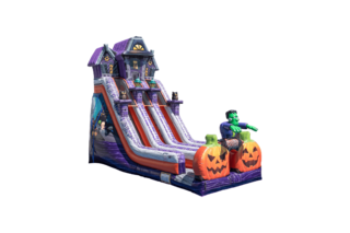 24' Haunted Mansion Dual Lane Dry Slide