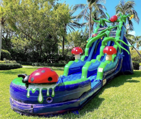 Water Slide Rentals Jacksonville FL Celebration Party Rental