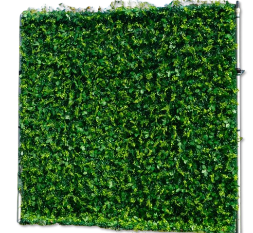8ft x 8ft Greenery Wall 8ft x 8ft Greenery Wall