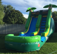 Tropical Slide