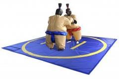 Sumo Suits and Mat