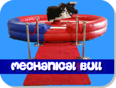 Mechanical Bull