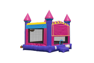 Pink/Purple Castle Bouncer - New in 2024