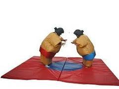 Sumo Wrestling Suits With Mat