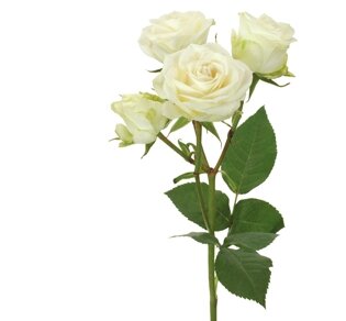 Classic Flower Assortment Classic Flower Assortment