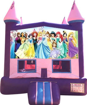 Disney Princess Purple Castle