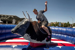 Larry - The Mechanical Bull