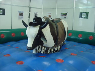 Timmy The Bull