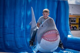 Bruce The Mechanical Shark