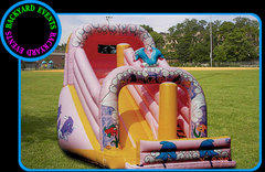 Giant dolphin slide $429.00DISCOUNTED PRICE Giant dolphin slide $429.00DISCOUNTED PRICE