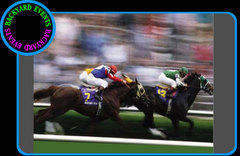 Day at the races $1099.00DISCOUNTED PRICE Day at the races $1099.00DISCOUNTED PRICE