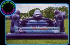 16X16 KING KONG $367.00 DISCOUNTED PRICE $287.00 16X16 KING KONG $367.00 DISCOUNTED PRICE $287.00