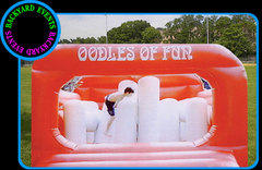 16X16 ODDLES OF FUN $367.00 DISCOUNTED PRICE $287.00 16X16 ODDLES OF FUN $367.00 DISCOUNTED PRICE $287.00