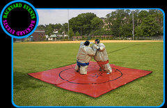 Sumo wrestling $  DISCOUNTED PRICE