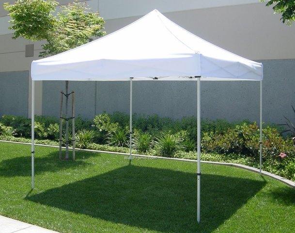 10x10 Frame Tent