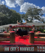 Mechanical Bulls Mechanical Bulls