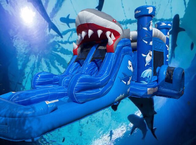 Shark Wet Dry Combo Dual Lane Shark Wet Dry Combo Dual Lane