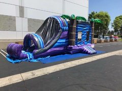 Tropical Paradise Bounce Dual Slide Combo Wet/Dry Tropical Paradise Bounce Dual Slide Combo Wet/Dry